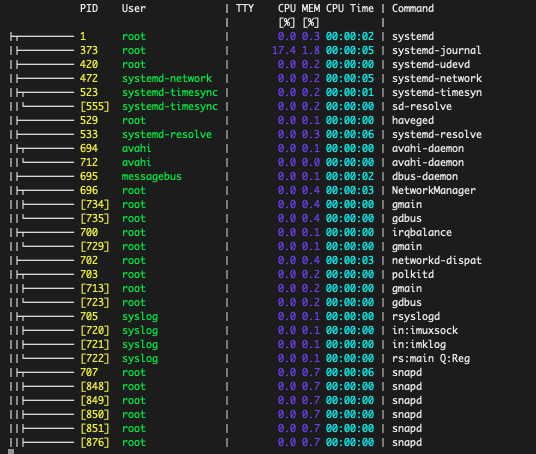 procs display in tree format